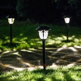 Lampadaire Solaire Extérieur En Verre De Café De Pelouse - Clowas.fr